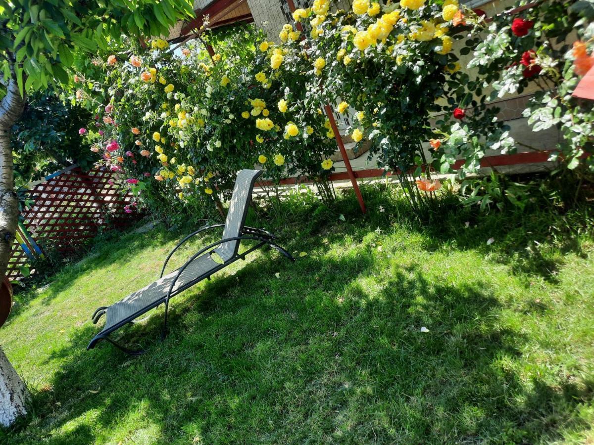 Casa De Vacanta Alexoiu Două Mai Eksteriør bilde
